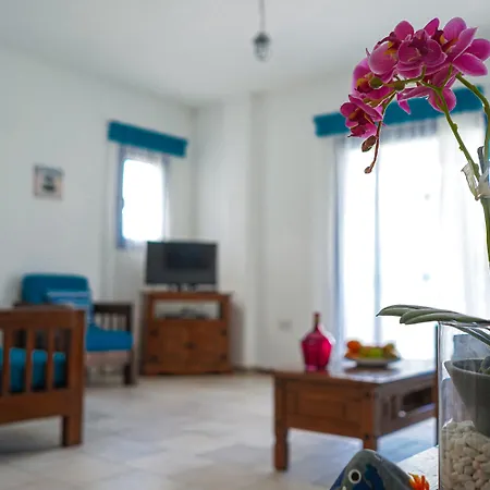 Sanders Azzurro * Paphos
