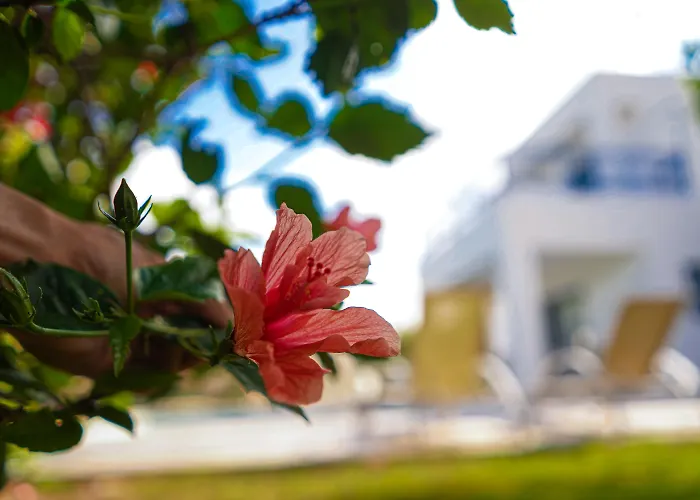 Hotel Azzurro Luxury 5*