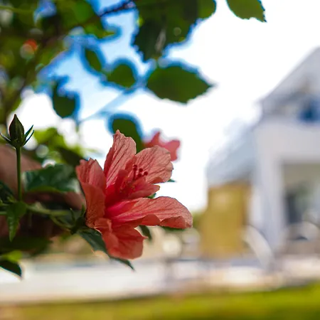 Otel Azzurro Luxury 5*